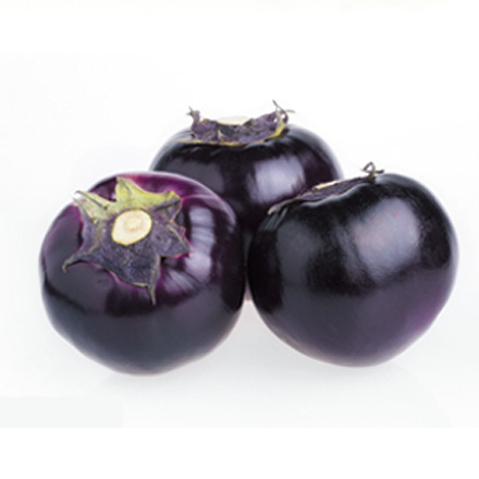 產(chǎn)品中心標(biāo)題九